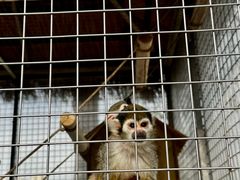 -水上乐园·欢乐世界