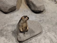 -北戴河圣蓝海洋公园