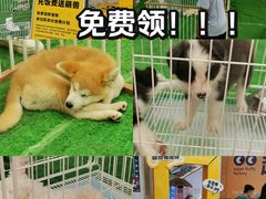 -吾悦广场(天津和平店)