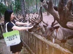 -北极村旅游风景区