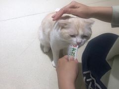 -藏猫猫咖啡主题馆(中央大道店)