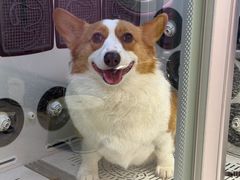 -FAELING PETS美天灵宠物(富力广场店)