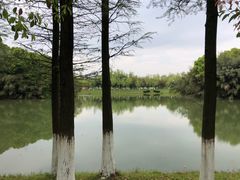 -艾溪湖湿地公园