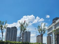 -武汉光谷K11
