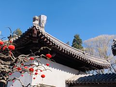 -团结湖公园