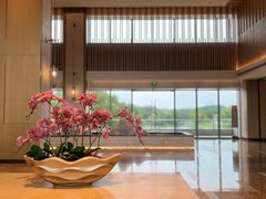 -上海佘山世茂艾美酒店