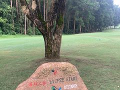 -东莞海逸高尔夫球会