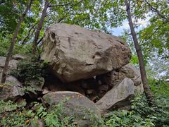-大岭沟猕猴桃谷风景区