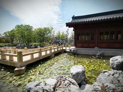 -江心屿景区