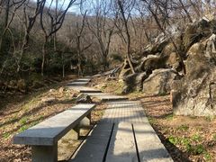 -南京老山国家森林公园