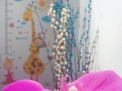 -彩翼美术馆(方庄校区)