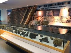 -金钉子远古世界景区