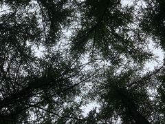 -洛阳白云山景区