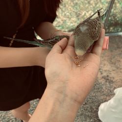 -萌宠亲子动物乐园(槐房万达店)