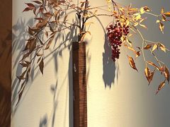 -朵朵开素食餐厅(后宰门街店)