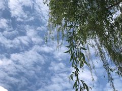 -仙海旅游度假区