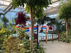 -南宫五洲植物乐园