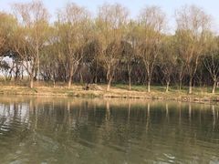 -昆山城市生态森林公园