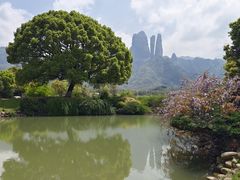 -江郎山风景名胜区