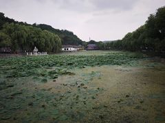 -北山公园