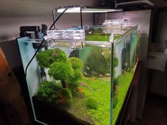 -祥云精致湘菜馆(东1时区店)