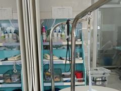 -北京观赏动物医院·24小时大型综合·猫专科·异宠专科