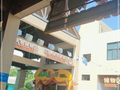 -苏州乐园森林水世界