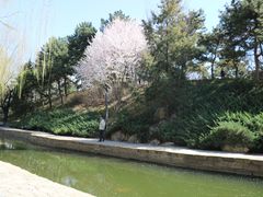 -团结湖公园