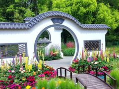 -上海共青森林公园