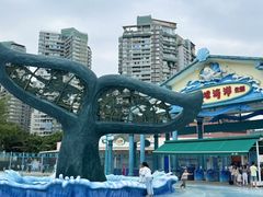 -海合安成都极地海洋公园
