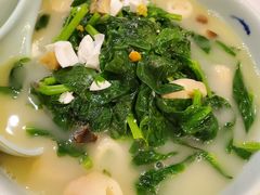 上汤豌豆尖-东兴楼饭庄(六里桥店)