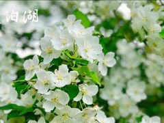 -镜泊湖风景区