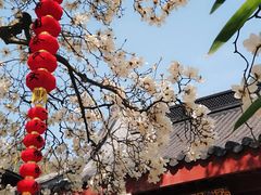 -杭州上天竺法喜讲寺