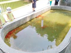 -华南国家植物园-售票处