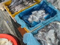 -芦潮港集贸市场