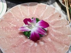 -禄婶鸡煲·打边炉