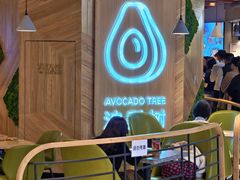 -油梨树AVOCADO TREE(嘉里中心店)