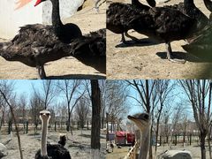 -水上乐园·欢乐世界