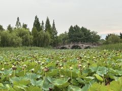 -茗醉园茶楼