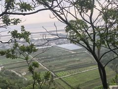 -伍山石窟