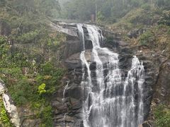 -海南热带雨林国家公园吊罗山景区