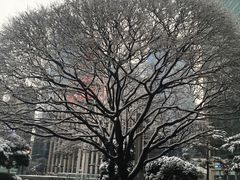 -神仙雪浓汤(明洞店)