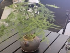 -茶月山·潮汕工夫茶饮(乐峰广场店)