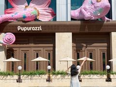 -帕帕拉兹宠物(亚洲旗舰店)