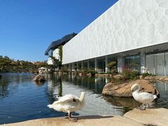 -罗红摄影艺术馆