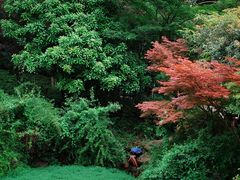 -杭州半山国家森林公园