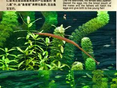 -上海海洋水族馆