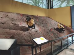 -湖南省地质博物馆