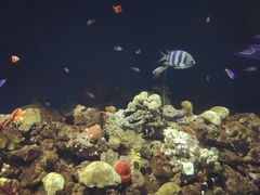 -福州罗源湾海洋世界旅游区