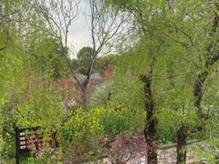 -南汇桃花村